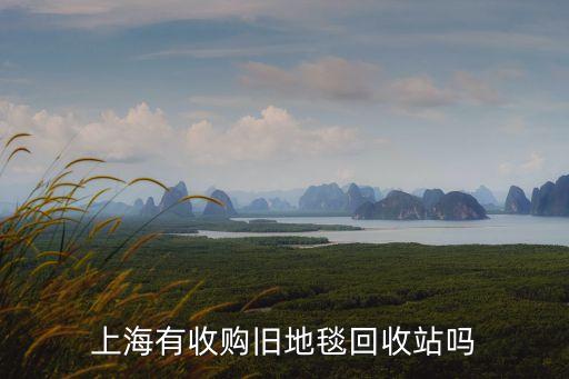 旧地毯回收厂家电话，哪里有回收旧地毯的