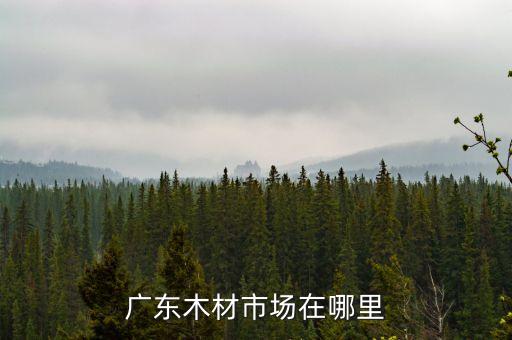 广东木材市场在哪里