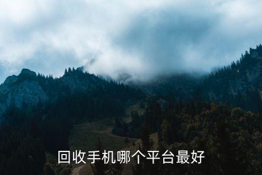 回收手机哪个平台最好