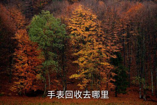 手表回收去哪里