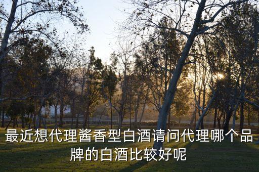 最近想代理酱香型白酒请问代理哪个品牌的白酒比较好呢