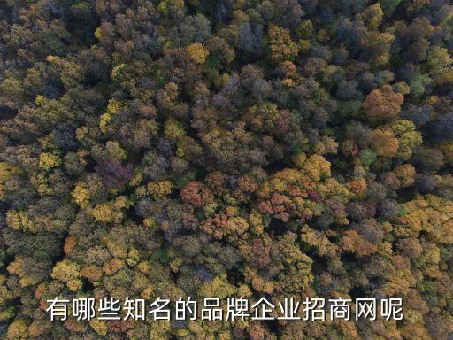 有哪些知名的品牌企业招商网呢
