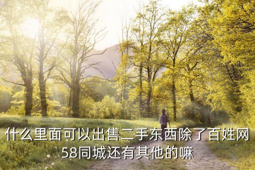 什么里面可以出售二手东西除了百姓网58同城还有其他的嘛
