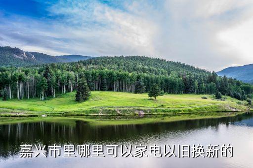 嘉兴市里哪里可以家电以旧换新的