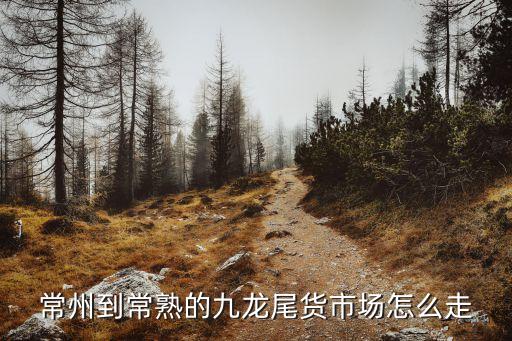 常州到常熟的九龙尾货市场怎么走