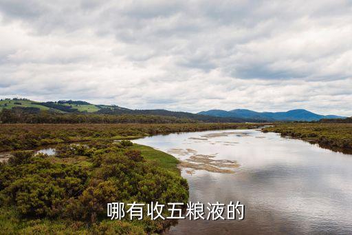 哪有收五粮液的