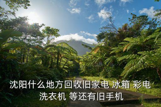 附近收购旧家电，沈阳什么地方回收旧家电 冰箱 彩电 洗衣机 等还有旧手机