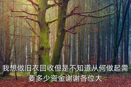 我想做旧衣回收但是不知道从何做起需要多少资金谢谢各位大