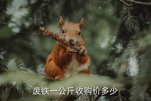 长沙废铁收购价格，湖南好废铁价格多少一吨