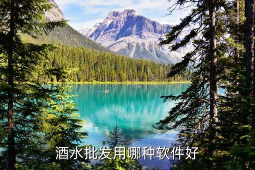 酒水批发用哪种软件好