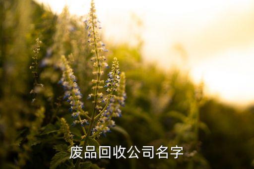 废品回收公司名字