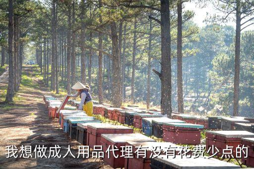 我想做成人用品代理有没有花费少点的