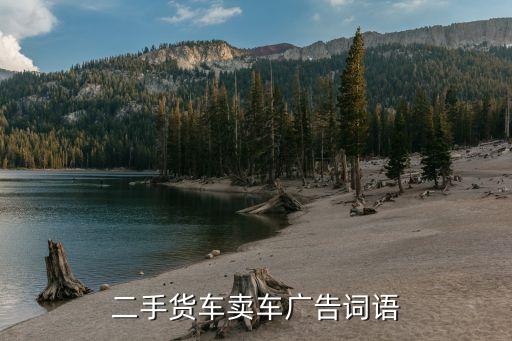 二手货车卖车广告词语