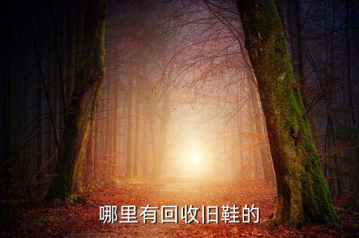二手鞋子回收平台，知道哪个平回收二手潮鞋吗95分可以吗