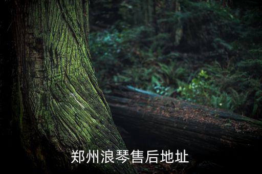 郑州浪琴售后地址