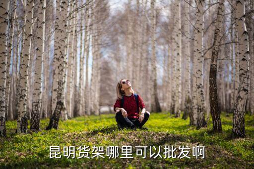 昆明货柜批发市场，昆明货架哪里可以批发啊