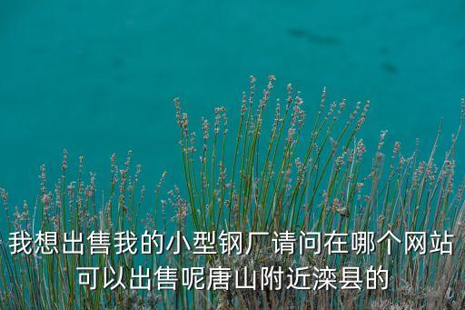 我想出售我的小型钢厂请问在哪个网站可以出售呢唐山附近滦县的