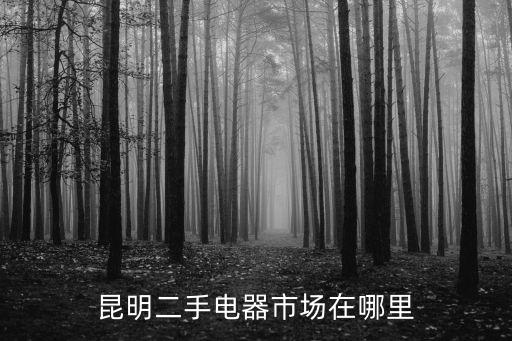 电器二手市场在哪里，昆明二手电器市场在哪里