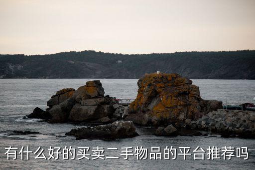 有什么好的买卖二手物品的平台推荐吗