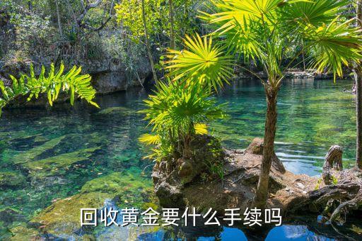 回收黄金要什么手续吗