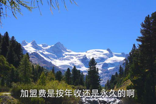 加盟费是按年收还是永久的啊