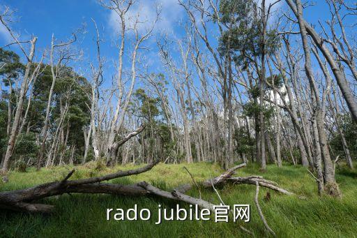 rado jubile官网