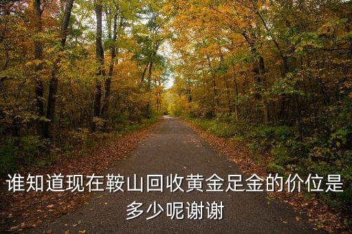 谁知道现在鞍山回收黄金足金的价位是多少呢谢谢