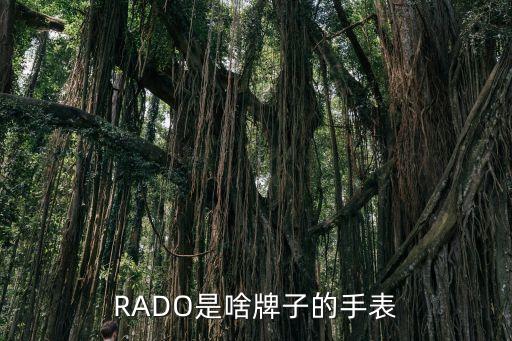 RADO是啥牌子的手表