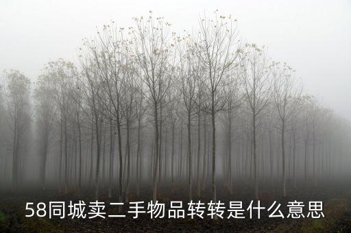 58同城卖二手物品转转是什么意思