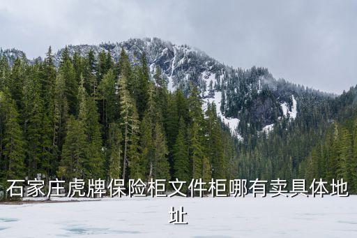 石家庄虎牌保险柜文件柜哪有卖具体地址