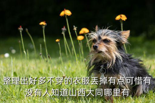 整理出好多不穿的衣服丢掉有点可惜有没有人知道山西大同哪里有