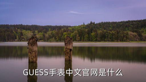 GUESS手表中文官网是什么