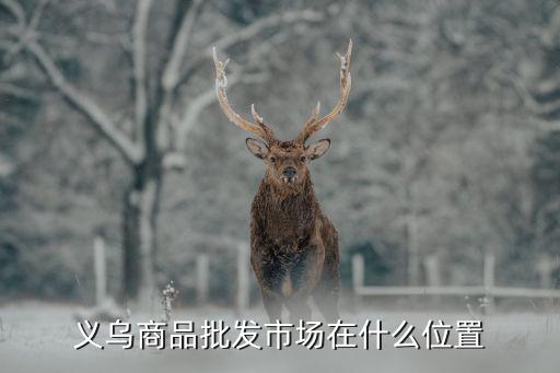 义乌商品批发市场在什么位置