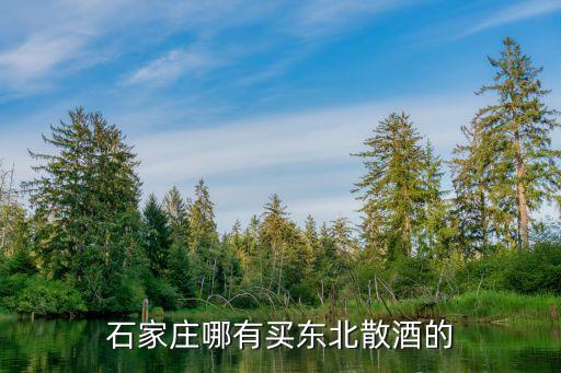 石家庄散酒批发市场，石家庄酒类批发市场具体都在什么位置
