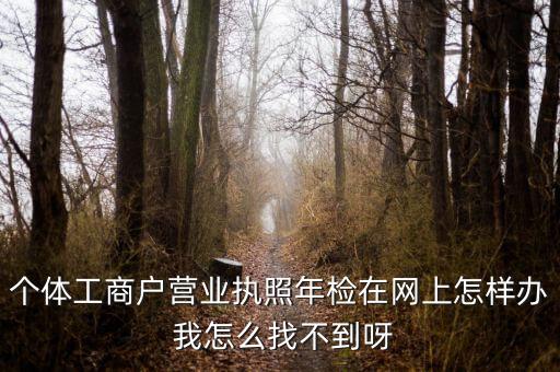 个体工商户营业执照年检在网上怎样办 我怎么找不到呀
