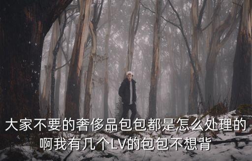 大家不要的奢侈品包包都是怎么处理的啊我有几个LV的包包不想背