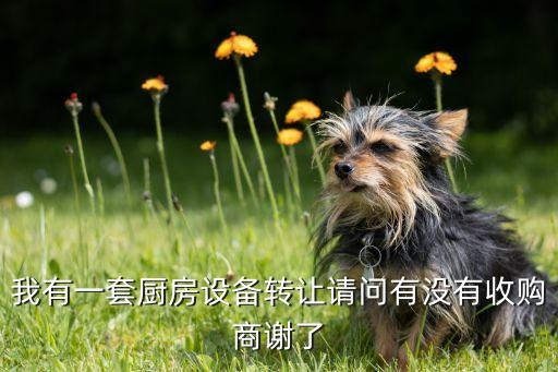 回收二手厨房设备厂家，深圳哪里有卖二手厨房设备商
