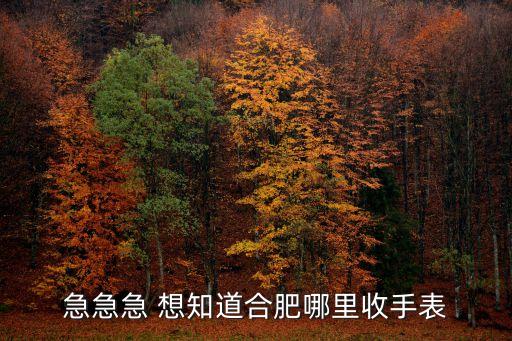 急急急 想知道合肥哪里收手表