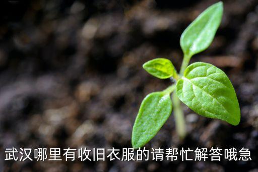 武汉哪里有收旧衣服的请帮忙解答哦急