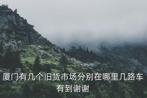 厦门有几个旧货市场分别在哪里几路车有到谢谢