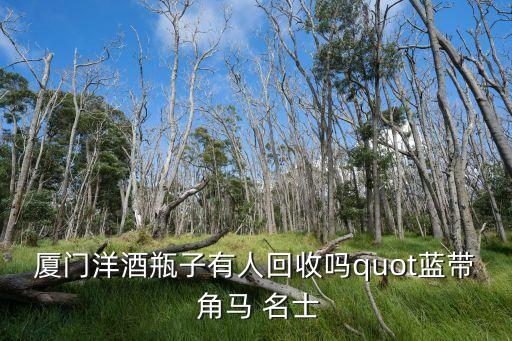 厦门洋酒瓶子有人回收吗quot蓝带 角马 名士