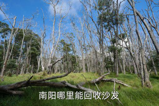 南阳哪里能回收沙发