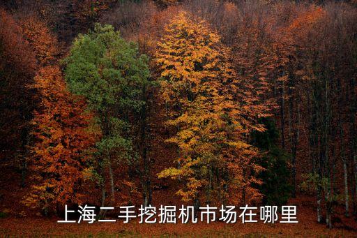 上海二手挖掘机市场在什么地方卖，上海哪里有卖二手挖掘机的