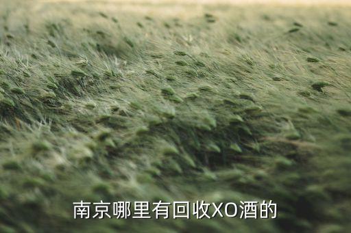 南京哪里有回收XO酒的