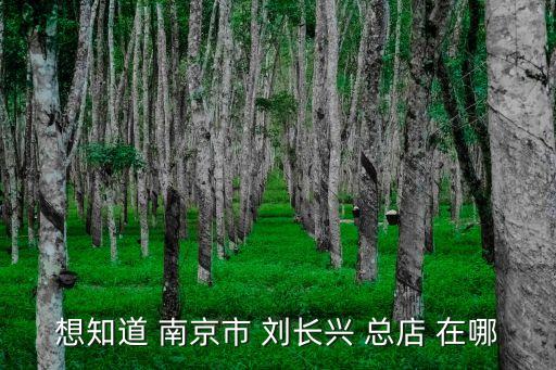 想知道 南京市 刘长兴 总店 在哪