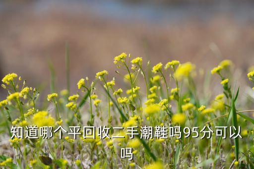 知道哪个平回收二手潮鞋吗95分可以吗