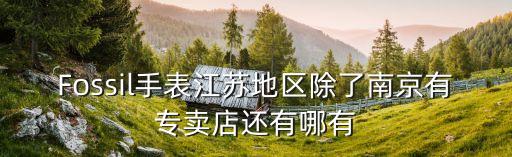 Fossil手表江苏地区除了南京有专卖店还有哪有