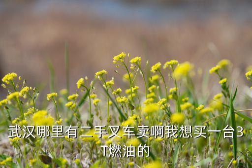 武汉哪里有二手叉车卖啊我想买一台3T燃油的