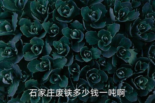 石家庄废铁多少钱一吨啊