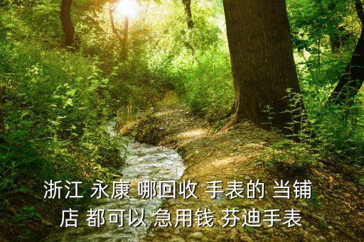 浙江 永康 哪回收 手表的 当铺 店 都可以 急用钱 芬迪手表